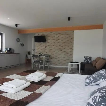 Apartamenty U Piotra Czarny Dunajec Exterior photo