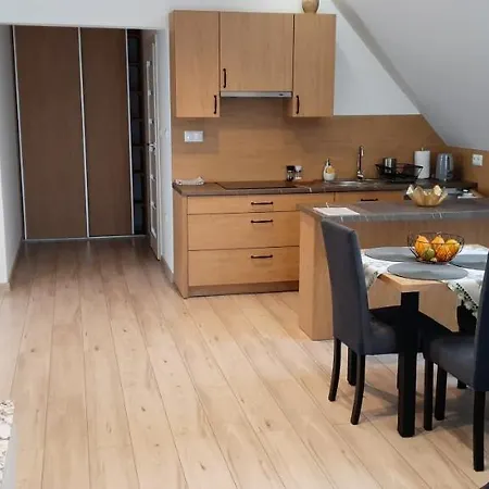Apartamenty U Piotra Czarny Dunajec Exterior photo