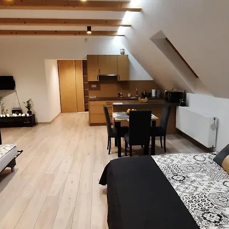 Apartamenty U Piotra Czarny Dunajec Exterior photo