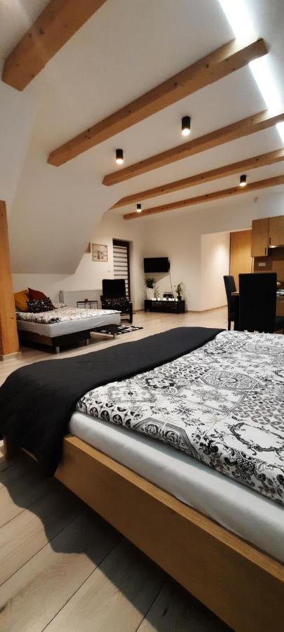 U Piotra Apartment Czarny Dunajec